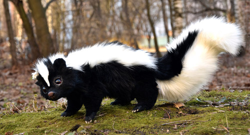 Skunk | Gakman Creatures