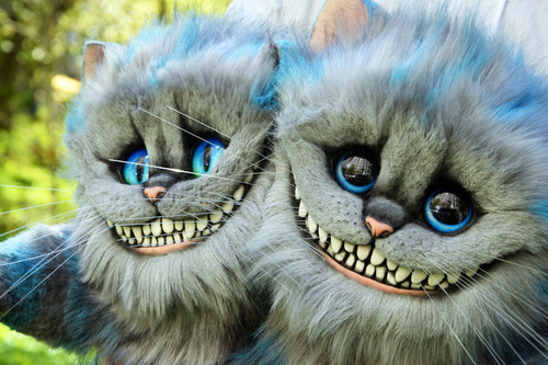 Cheshire Cat | Gakman Creatures