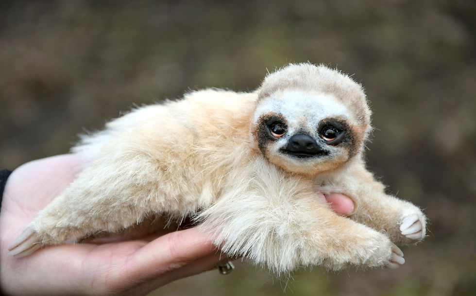 Thumbnail: Small Sloth