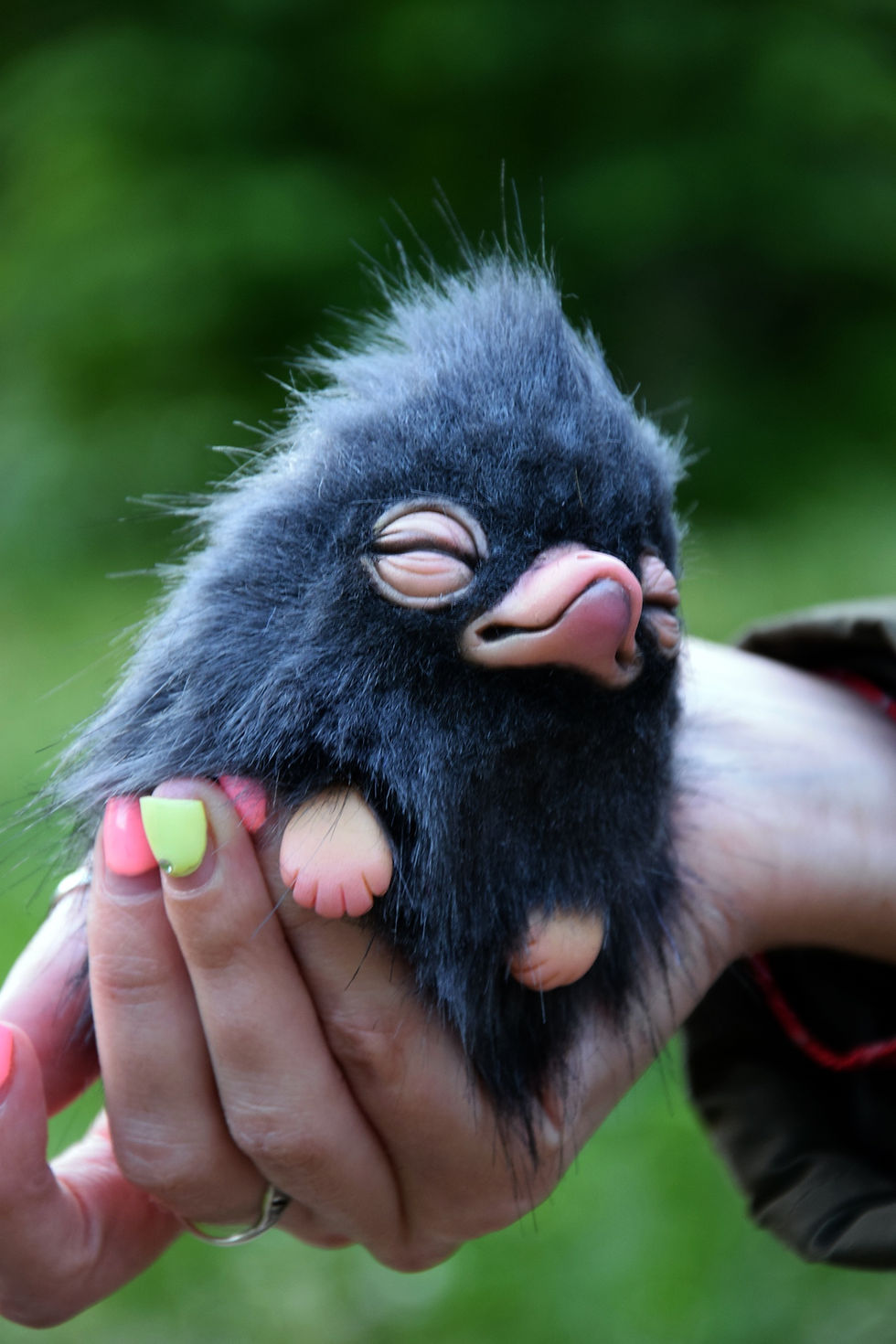 Thumbnail: Tiny Sleeping Niffler