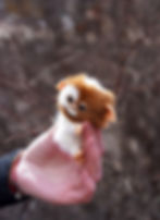 Thumbnail: Tiny Gizmo
