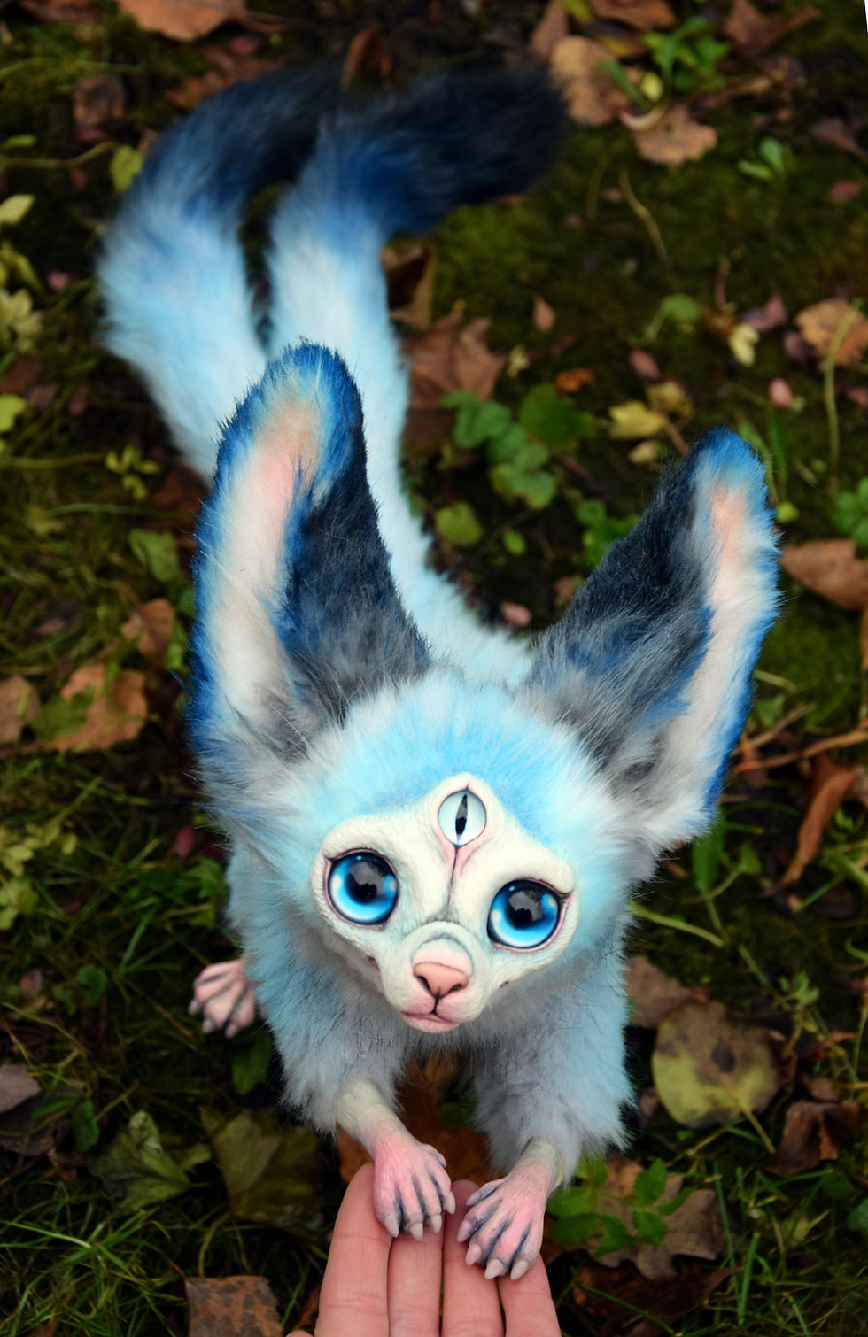 Thumbnail: One and a half Cats, small edition