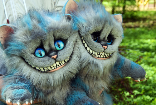Cheshire Cat | Gakman Creatures