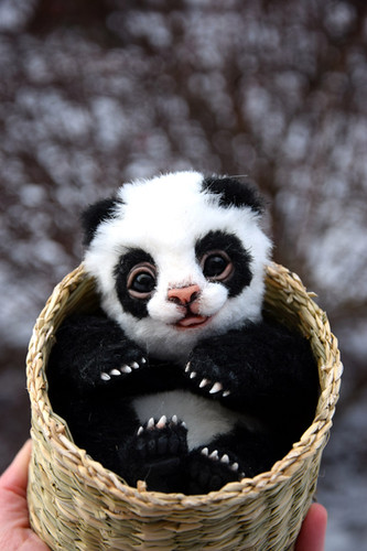 Baby Panda | Gakman Creatures