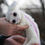 Thumbnail: Small Falkor the Luckdragon
