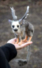 Thumbnail: Small Trico