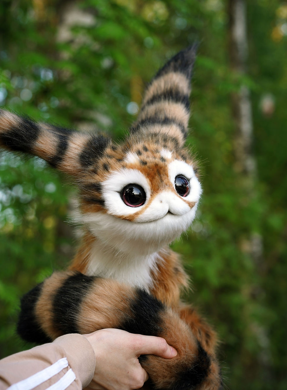 Loth-Cat (expedited)