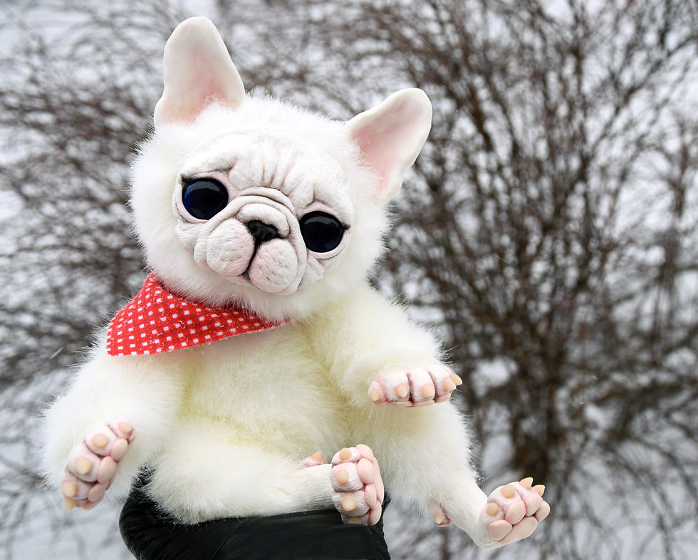 Thumbnail: French Bulldog