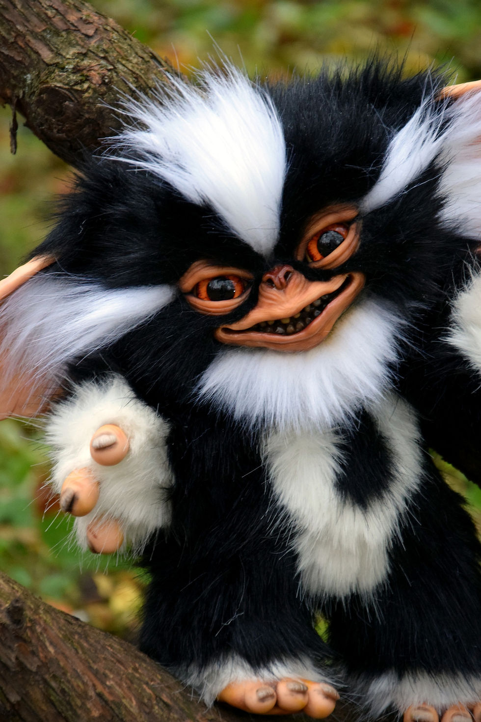 Thumbnail: Mohawk