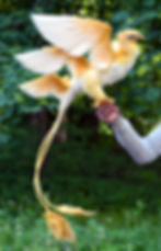 Thumbnail: Thunderbird