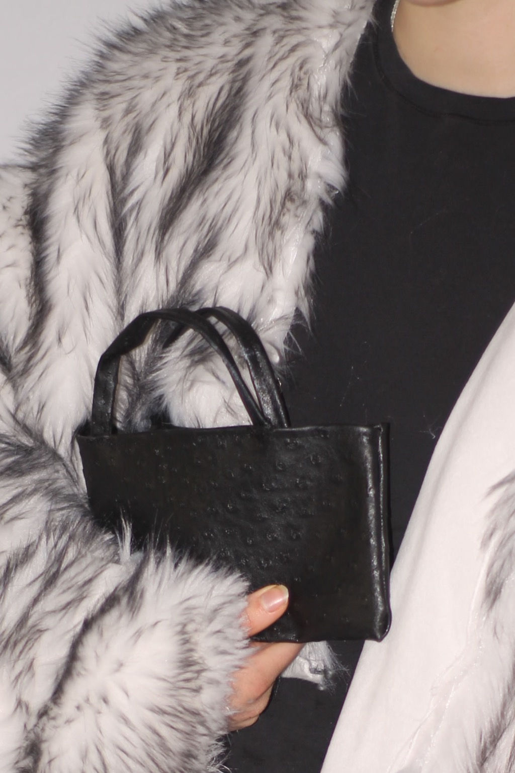 Ostrich Wallet