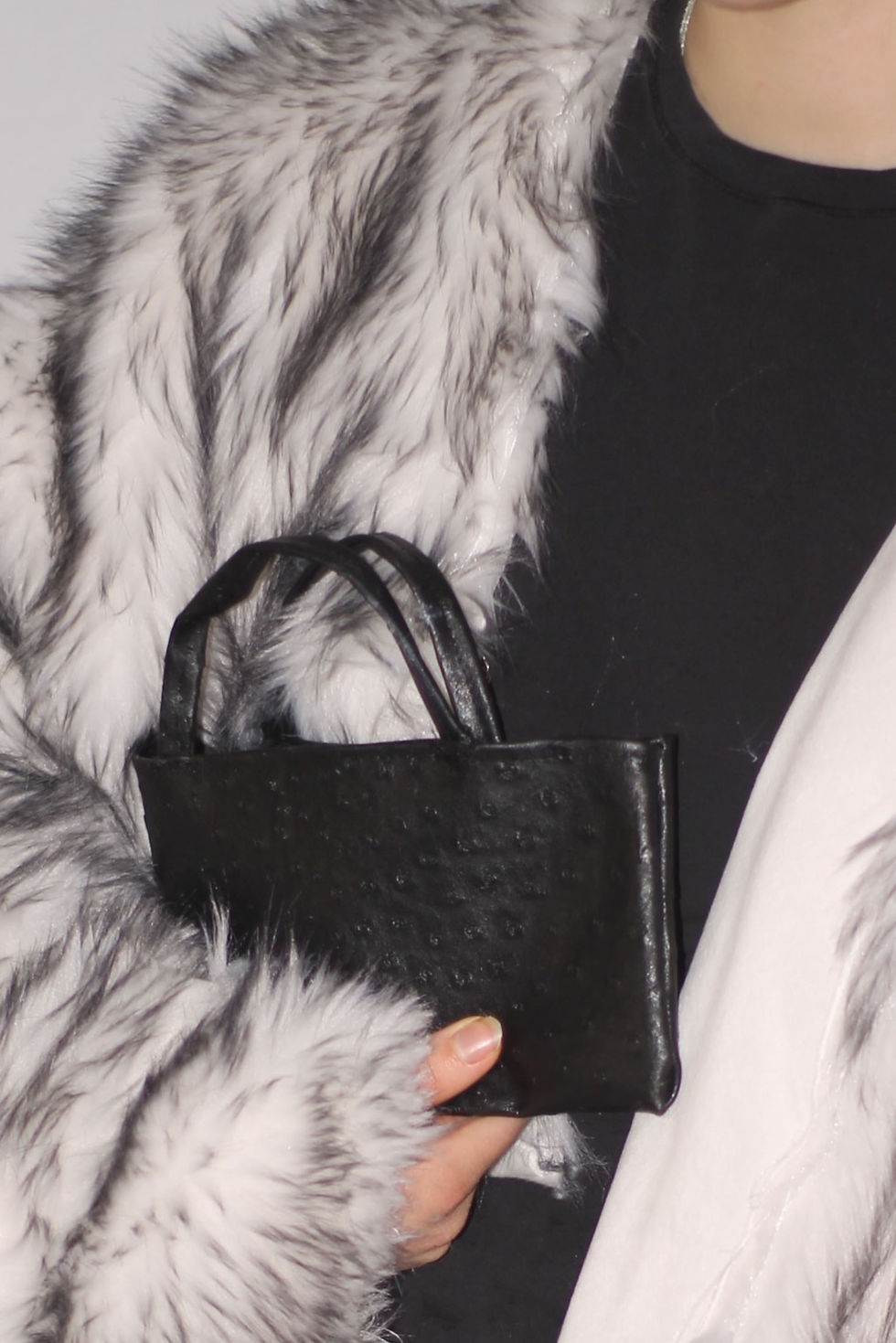 Thumbnail: Ostrich Wallet