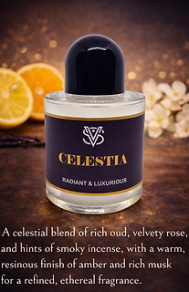 ChatGPT Image Feb 6, 2026 at 09_48_11 AM.png