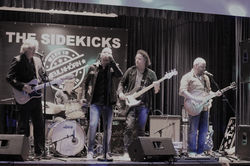 The Sidekicks bij bluesinpekelrock