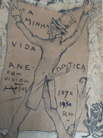 capa minha vida anedótica definitvo.jpg