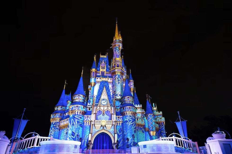 Frozen Holiday Surprise