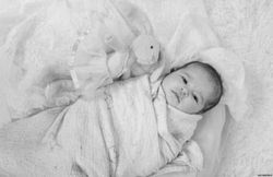 bd8c85bd-57e0-41c9-8835-61d94c211e74