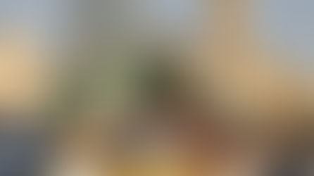 SIR in Bengal elections