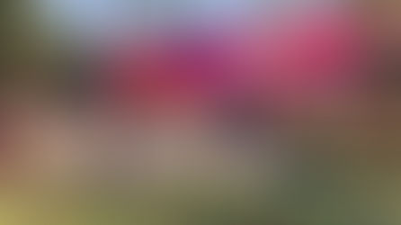 Bharat Rang Mahotsav