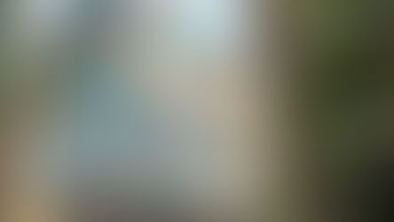 ‘It is the small steps that count…’ Ambassador of Palestine writes to independentink.in