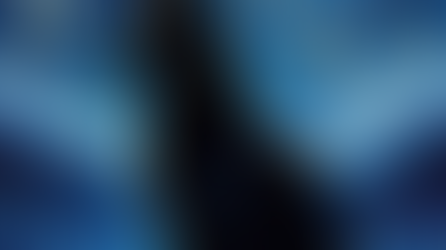 The Potato Eaters, and the Sunflowers are not blooming