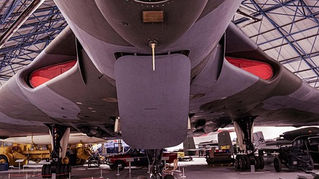 Gaza Donald Trump Israel