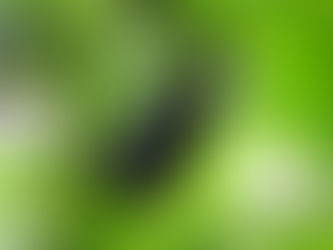 Aubergine. Baingan bharta. Ratna Raman