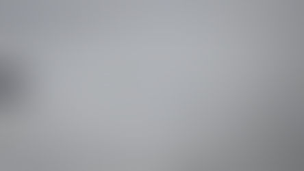 Manipur Meitei Kuki Zo