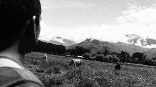 The Fractured Lens: A Kashmiri Student's Unfinished Theory