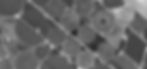 Gray Scale