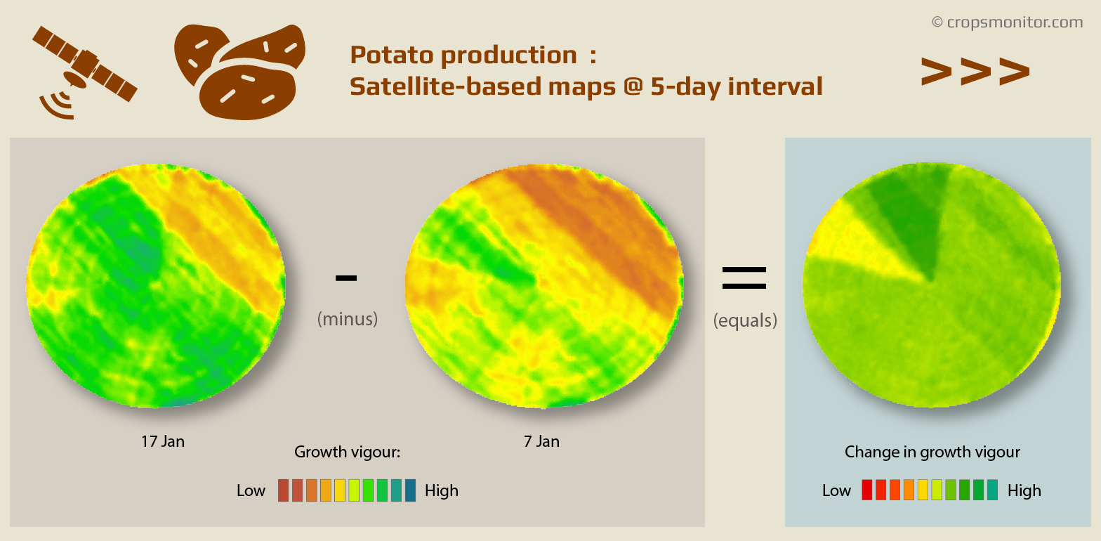 Tracking potato farming with satellite images and change analyses is