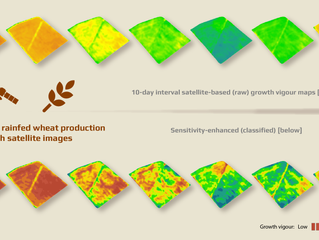 You can now monitor your rainfed wheat fields from anywhere!