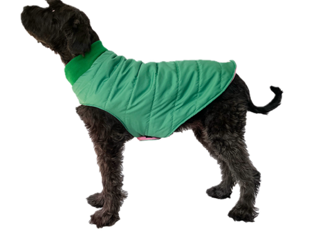 The Salted Studio: The Architecture of the Thermal City Puffer