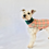 Thumbnail: Green/Check Reversible Dog Sweater