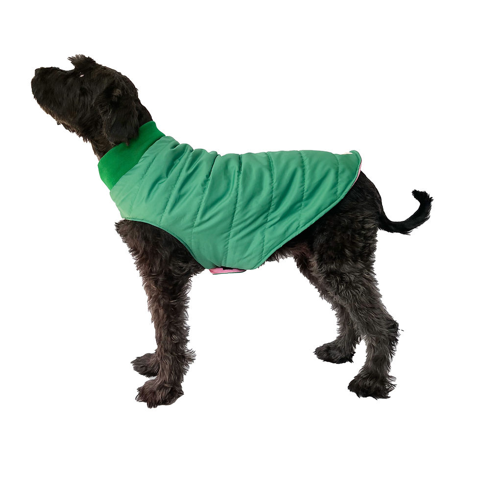 Thumbnail: Studio Crafted Green Dog Puffer