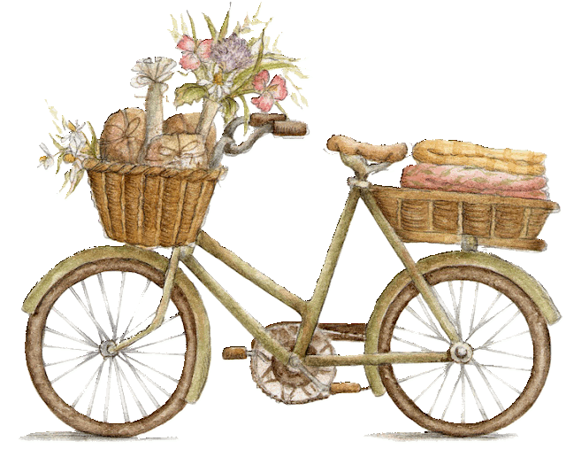 bici Sofía'.gif