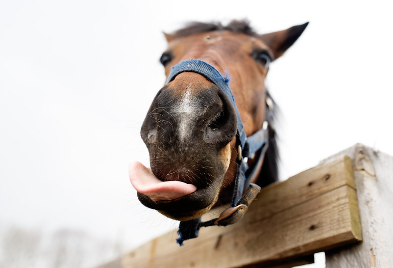 AdobeStock_111094048.jpeg