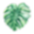 Folha Casa Norma.png