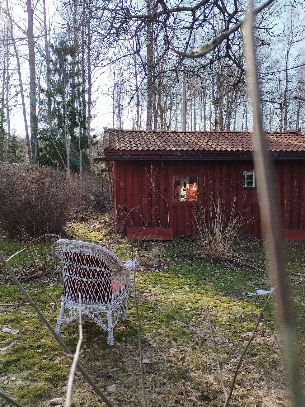 FÅGEL OCH PINGSTLILJA.