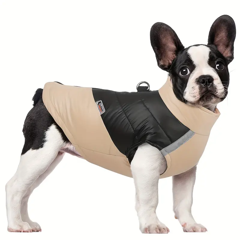 Manteau D'hiver Imperméable