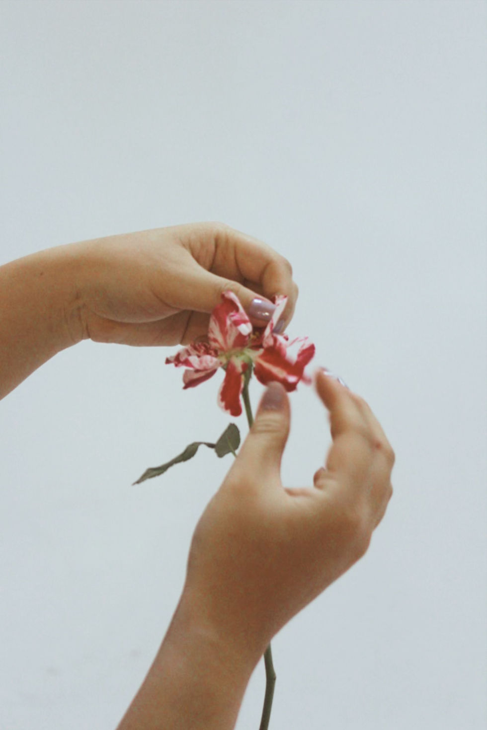 Picking Flower_1111.jpg