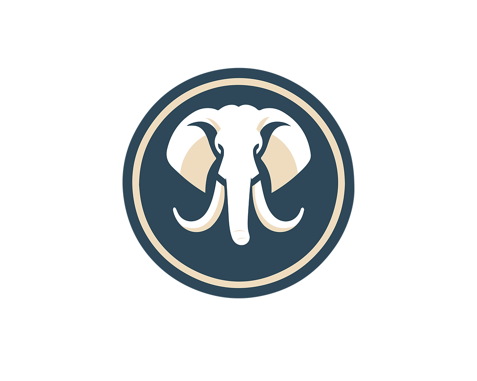 Blu Ivory Group Logo.png