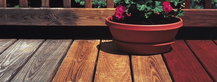 Deck Painting