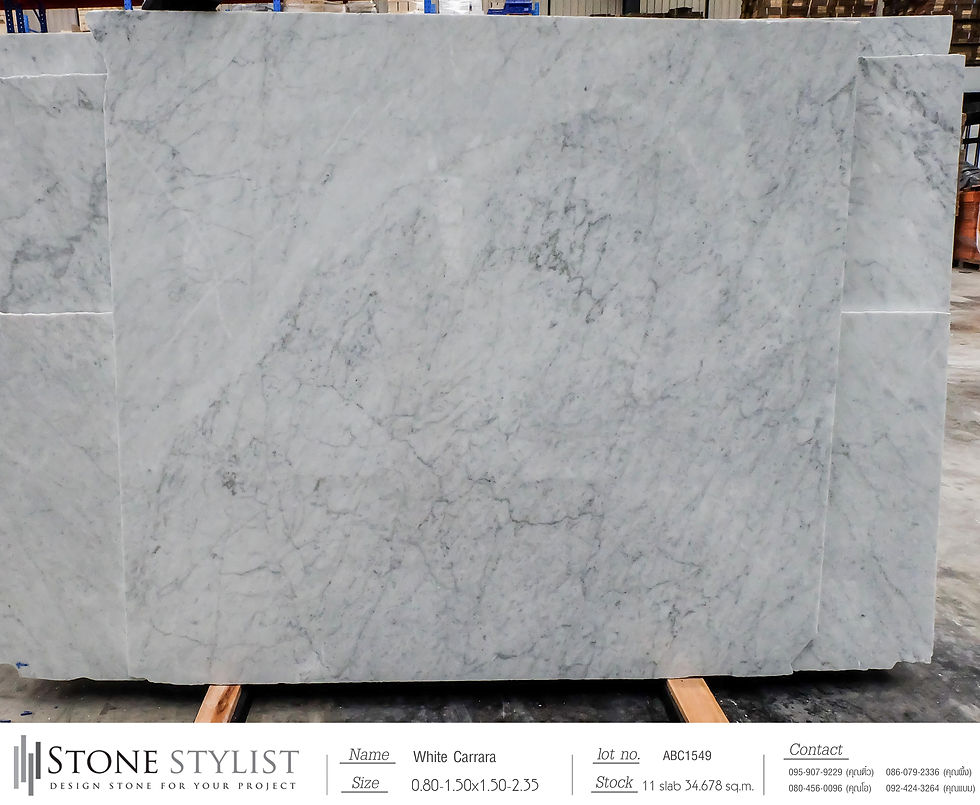 White Carrara_lot1549