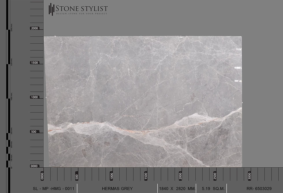 Hermas Grey - SL-MP-HMG-0011
