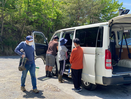 にんにく畑の草取り