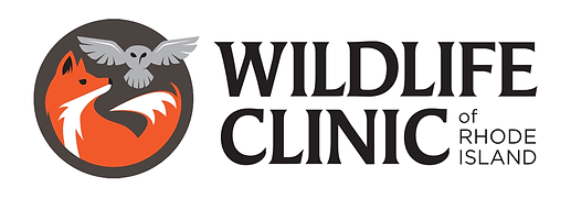 wildlifeclinic-logo-master-bumper.png