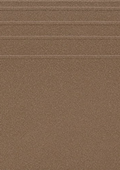NEMPBR00001EFV.jpg