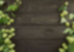 shutterstock_590914760.jpeg