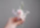 Boutonniere